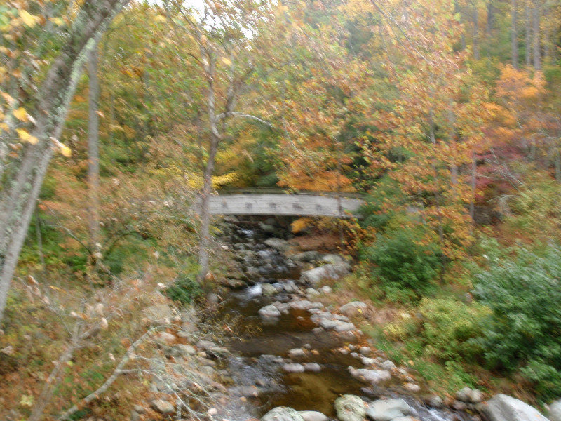 Crabtree Falls bridge