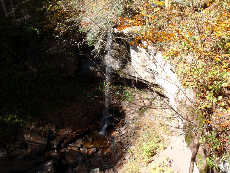 Lower Hills Creek Falls