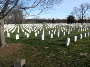 Rows of gravestones at Arlington