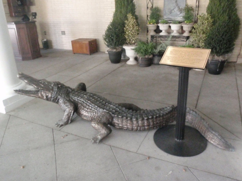 Alligator statue