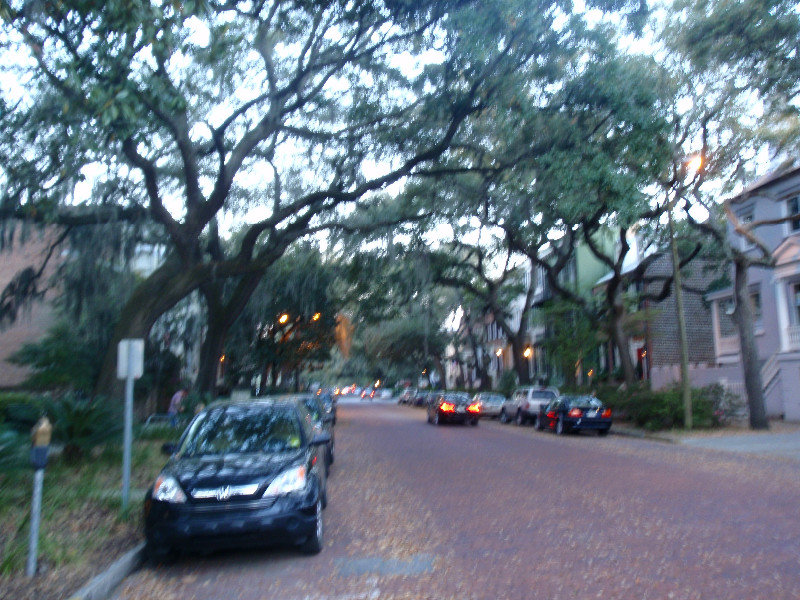Tree shrouded streets