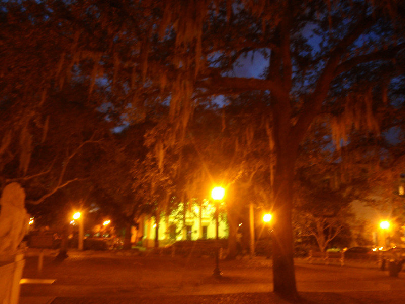 Garden square at night