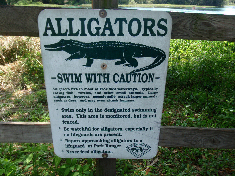 Alligator warning