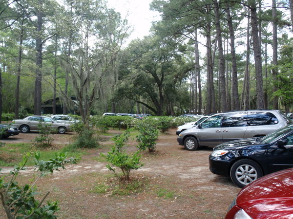 Middleton Gardens parking lot