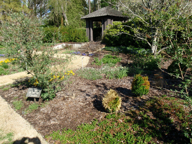 Scrub gardens trail