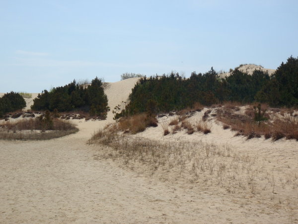 Jocky's Ridge, first dune