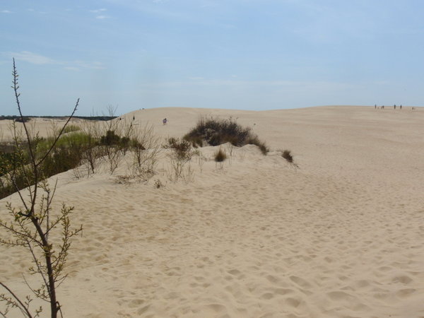 Jocky's Ridge, main dune