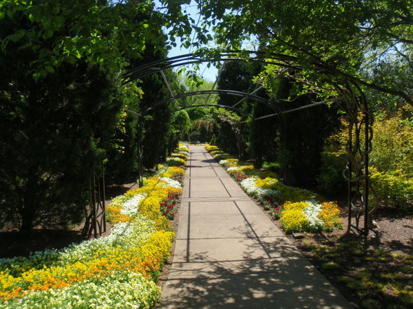 Color Garden Arborway