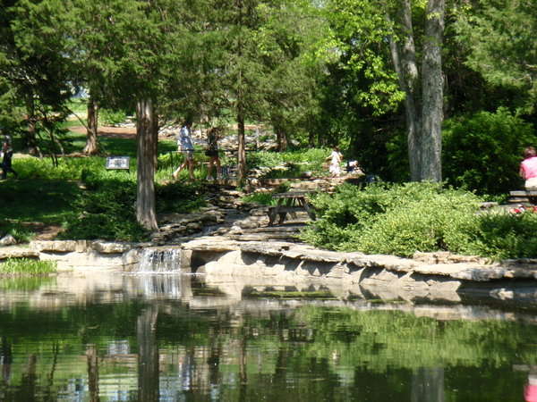 Pond and riprarian garden