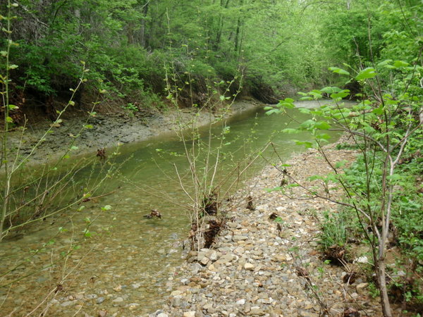 Along Knob Creek
