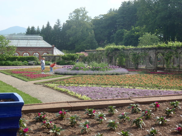 English Garden and greenhouse