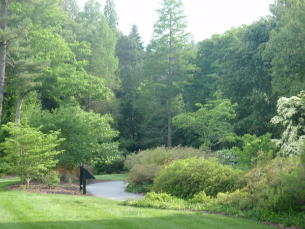 Azelea Garden