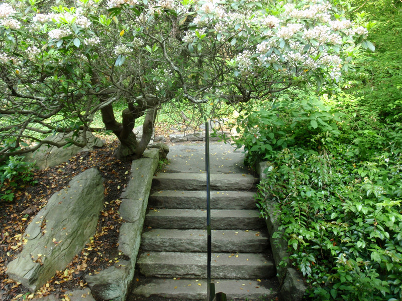 Stairs from the bass pond