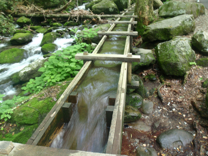 Alfred Reagan's gristmill trough