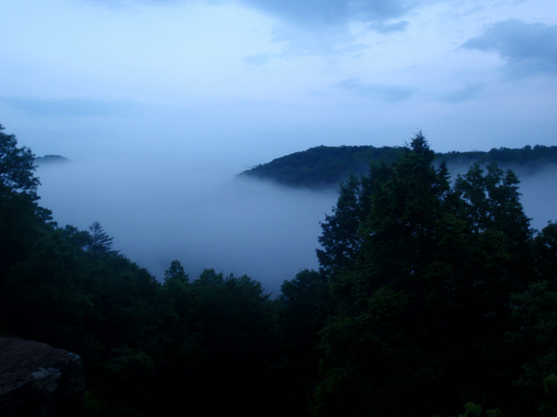 Kentucky mountain mist