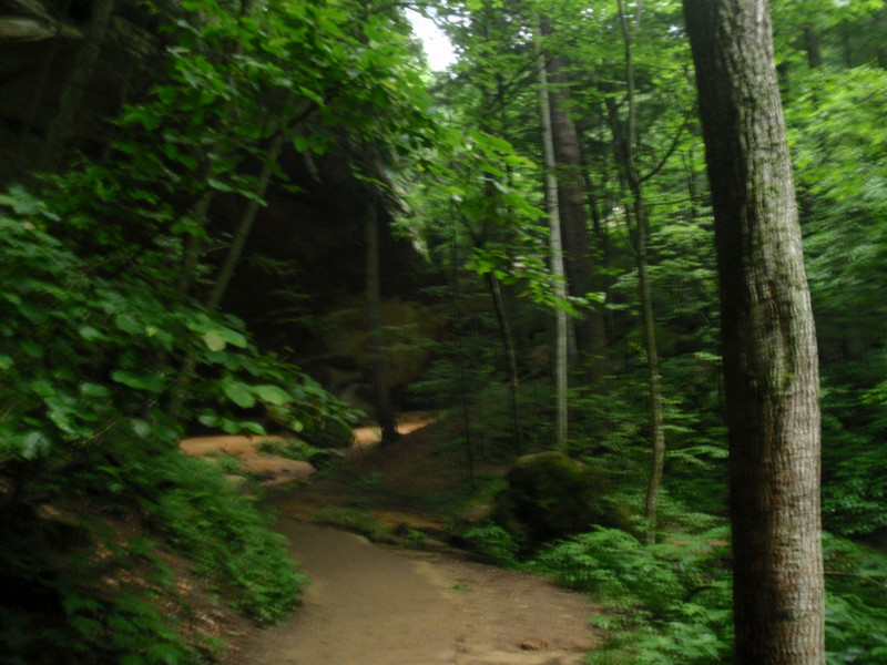 Ash Cave trail