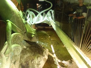 Giant frog sculpture
