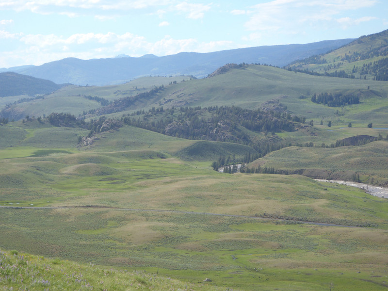 Lamar Valley from fossil forest trail