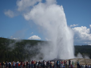 Old Faithful and crowd