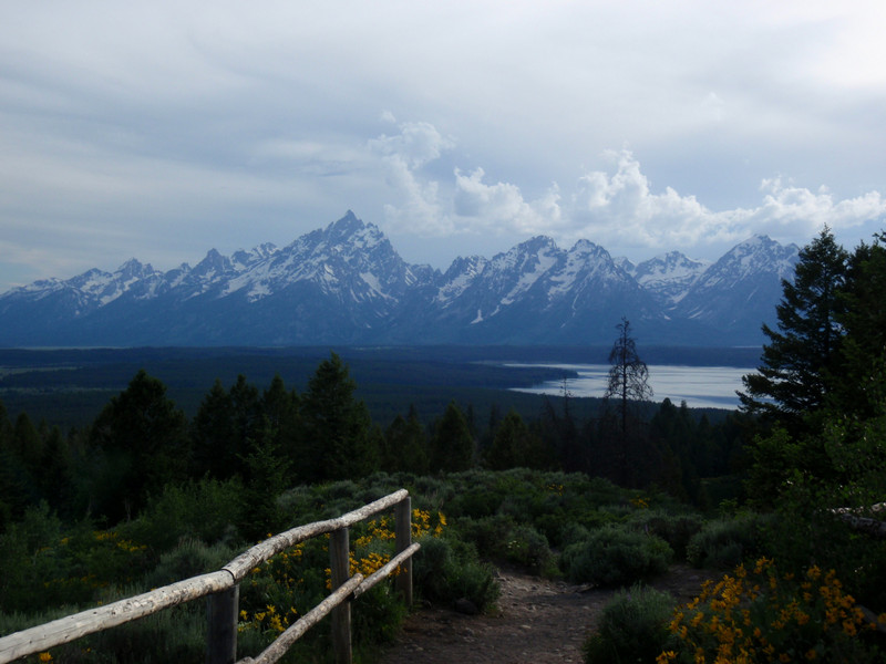 Grand Tetons from Signal Mountain