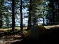Lake Yellowstone Campsite
