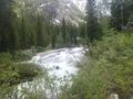 Cascade Creek rapids