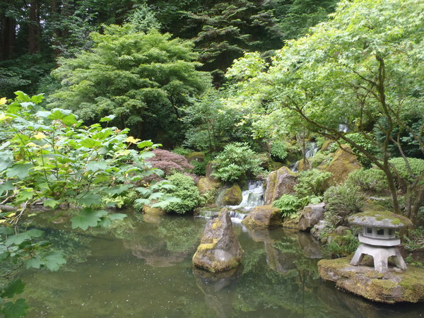 Pond Garden