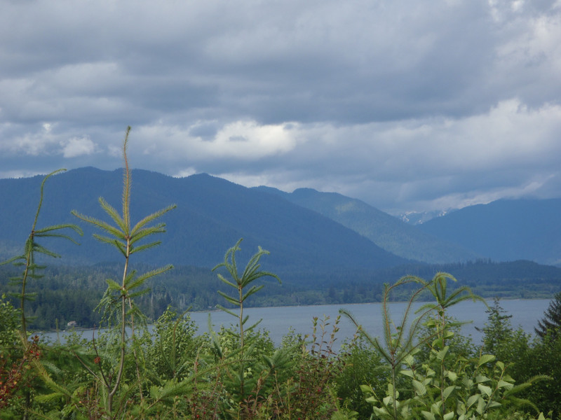 Quinault Lake Overlook