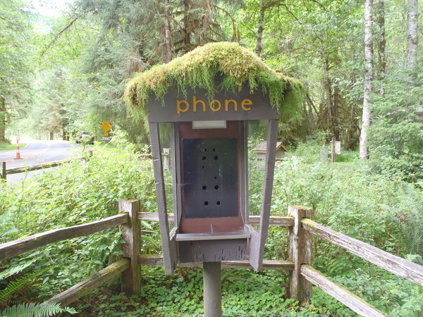 Hoh payphone kiosk