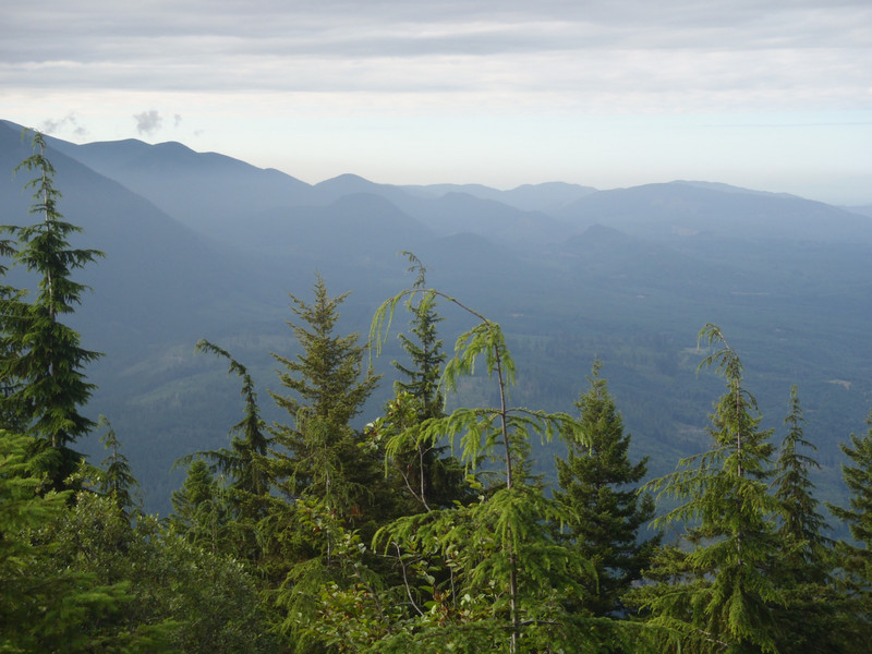 Olympic Mountains from Mount Walker