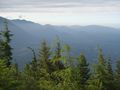 Olympic Mountains from Mount Walker