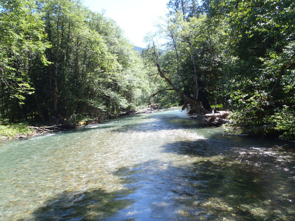 Ohanapecosh River