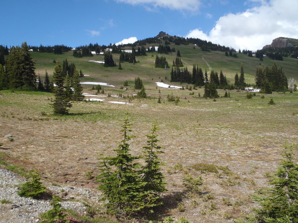 Mountain Meadows