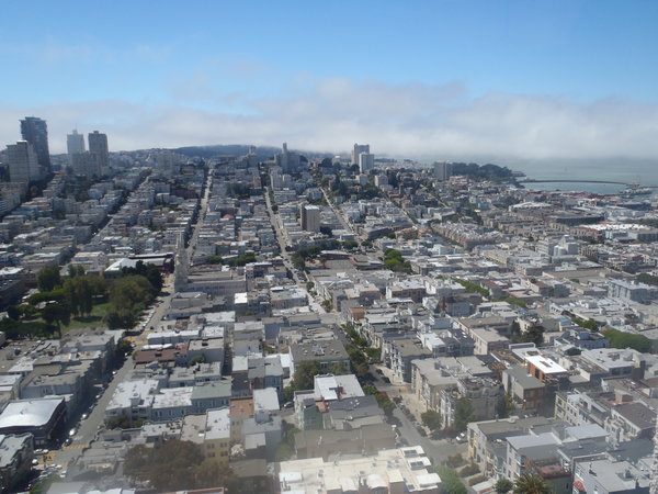 Coit Tower West