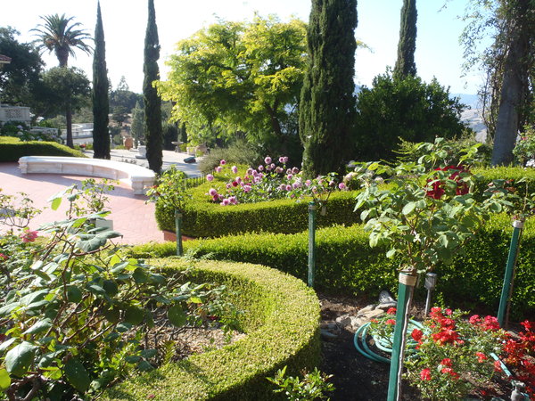 San Simeon gardens