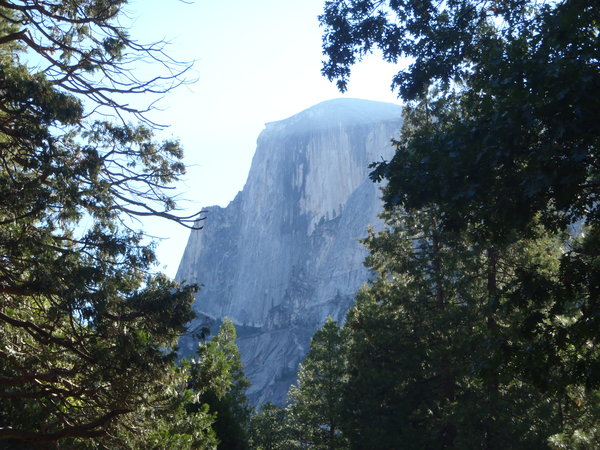 Half Dome from North Pines