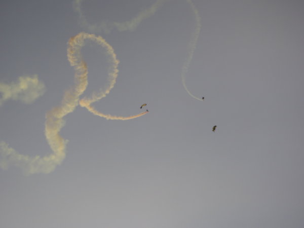 Navy skydivers