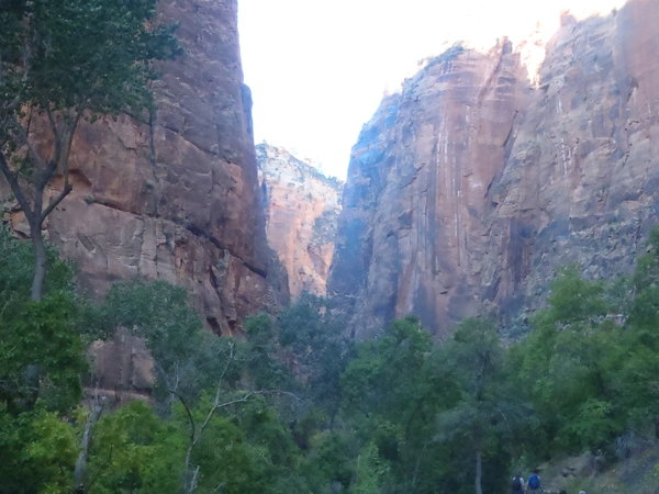 Upper Zion Canyon