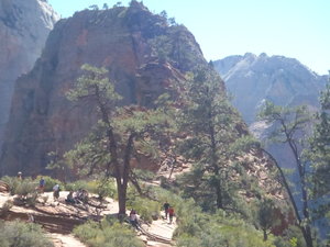 Angels Landing from Scout Lookout