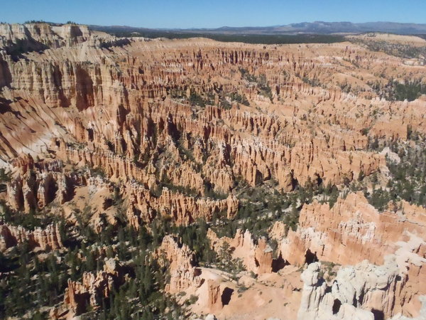 Bryce Canyon from Bryce Point
