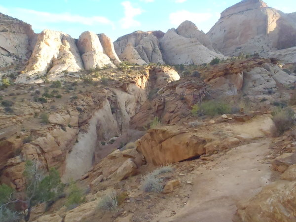 Knobs above canyon