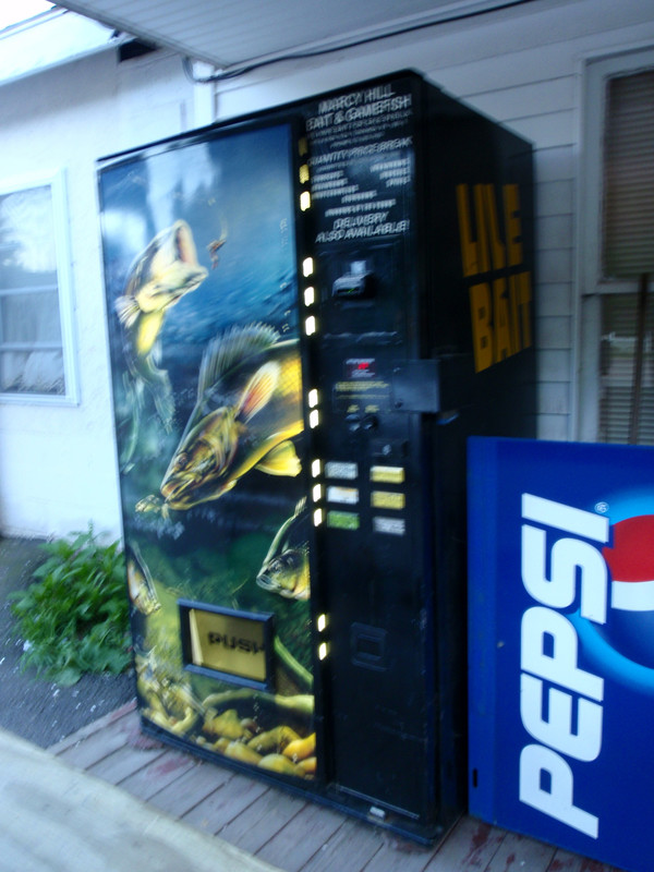 Bait vending machine