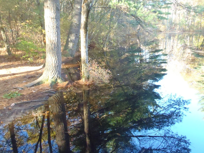 First pond reflection