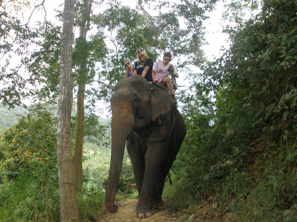 Riding an Elephant!