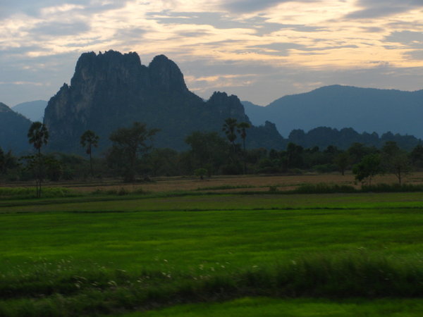 Green Rice Fields in Thailand