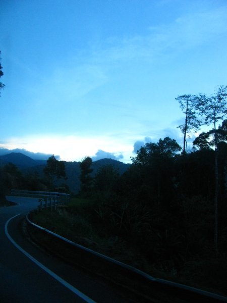 On the way to cameron highlands