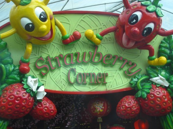 Crazy strawberry corner