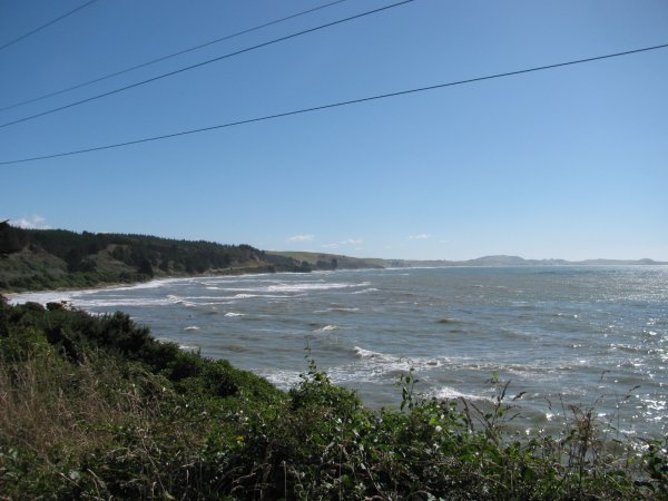 Shag point Pacific Coast