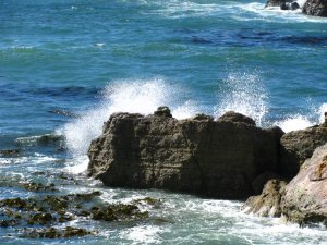At the Pacific Coast (Shag Point)