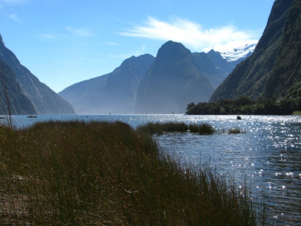Looking into the Milford Sound